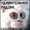 Фотография ЮХА